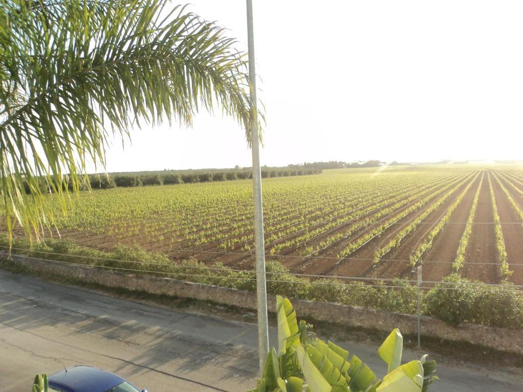 Eco Green La Vigna Leverano Room photo
